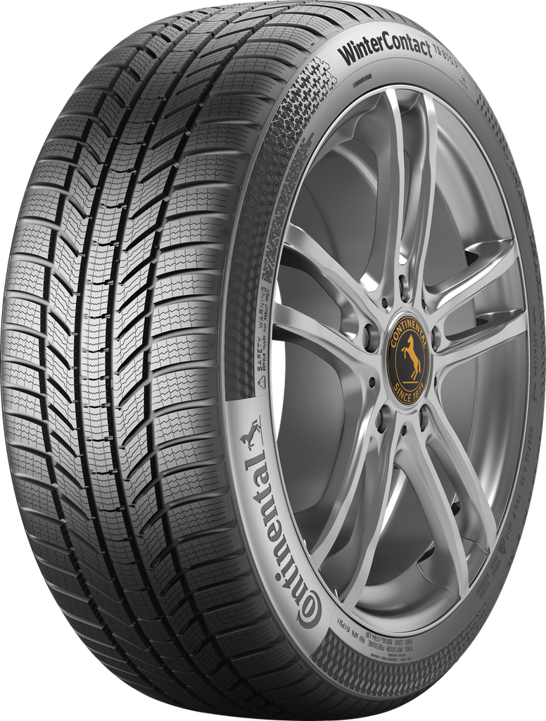 255/50R19 103T FR TS870P CS
