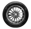 255/50 R20 109V NEXEN TIRE WINGUARD Sport 2 SUV