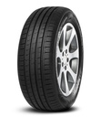 225/55 R16 99W F209 XL