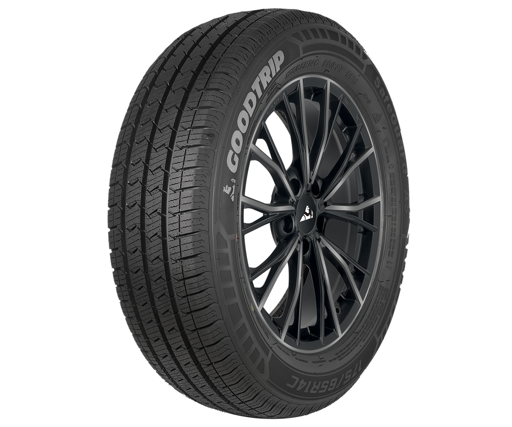 PNEU 205/75R16C 113S GOODTR SAFEGUAR AS